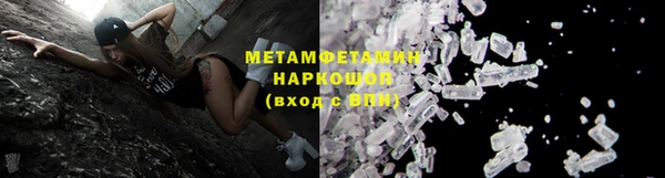 прущие грибы Киренск