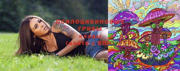 амф Кинешма