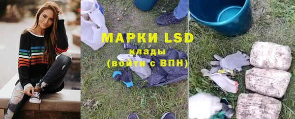 прущие грибы Киренск