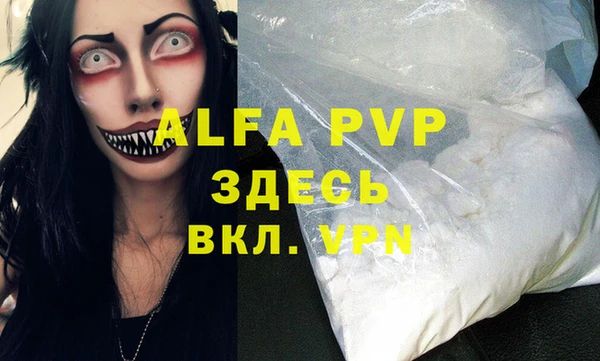 прущие грибы Киренск