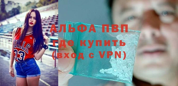 прущие грибы Киренск